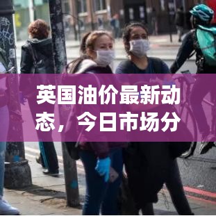 英国油价最新动态，今日市场分析及未来展望