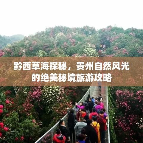 黔西草海探秘，贵州自然风光的绝美秘境旅游攻略