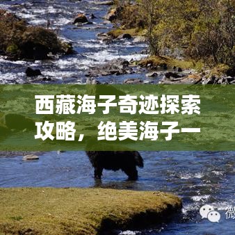 西藏海子奇迹探索攻略，绝美海子一览无余