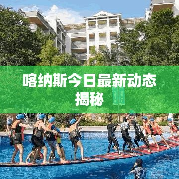 喀纳斯今日最新动态揭秘