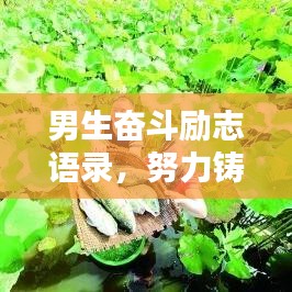 男生奋斗励志语录，努力铸就辉煌，青春闪耀奋斗之路