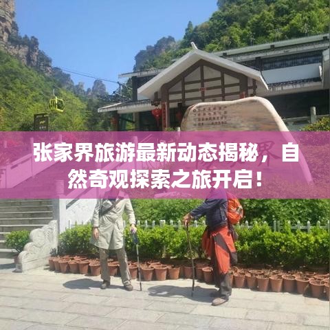 张家界旅游最新动态揭秘，自然奇观探索之旅开启！
