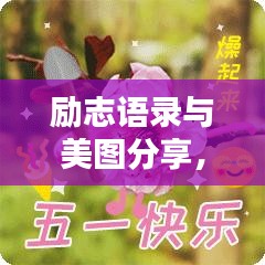 励志语录与美图分享，激励你的每一天
