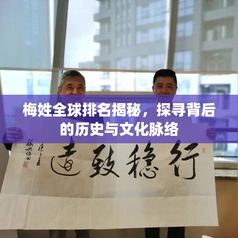 梅姓全球排名揭秘，探寻背后的历史与文化脉络