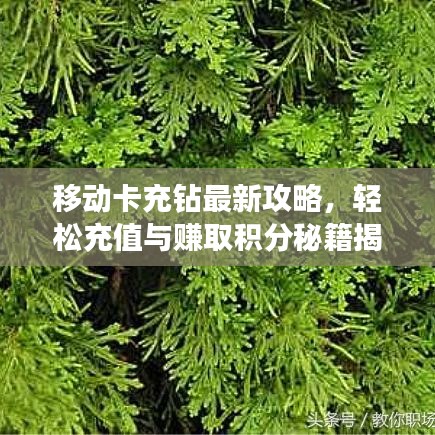 移动卡充钻最新攻略，轻松充值与赚取积分秘籍揭秘！