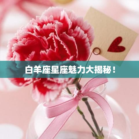 白羊座星座魅力大揭秘！