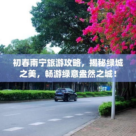 初春南宁旅游攻略，揭秘绿城之美，畅游绿意盎然之城！
