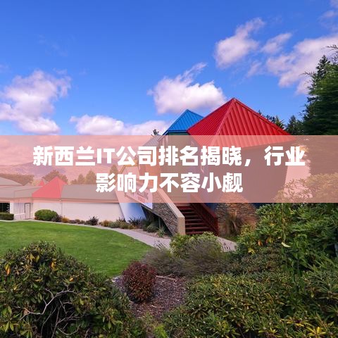 新西兰IT公司排名揭晓，行业影响力不容小觑