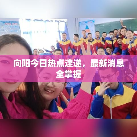 向阳今日热点速递，最新消息全掌握