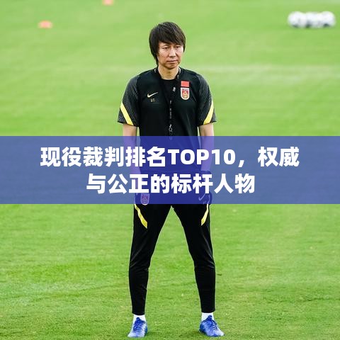 现役裁判排名TOP10，权威与公正的标杆人物