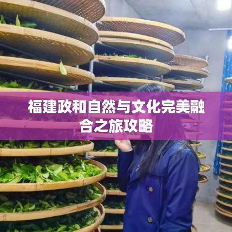 福建政和自然与文化完美融合之旅攻略