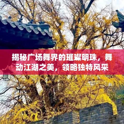 揭秘广场舞界的璀璨明珠，舞动江湖之美，领略独特风采