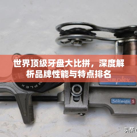世界顶级牙盘大比拼，深度解析品牌性能与特点排名
