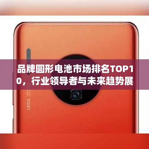 品牌圆形电池市场排名TOP10，行业领导者与未来趋势展望