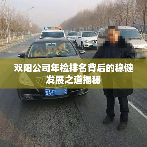 双阳公司年检排名背后的稳健发展之道揭秘