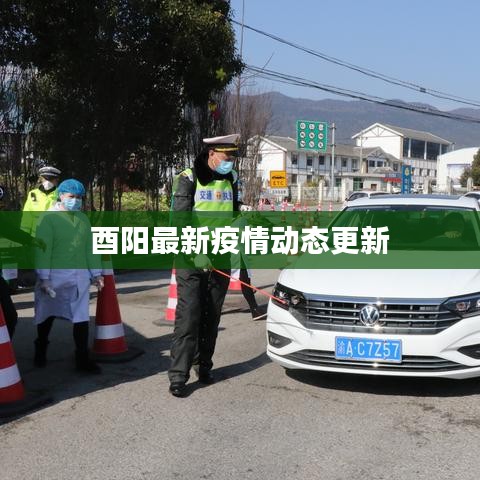 酉阳最新疫情动态更新