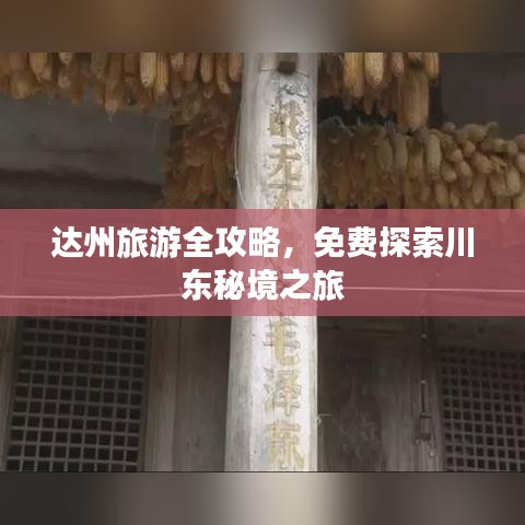 2025年5月27日 第42页