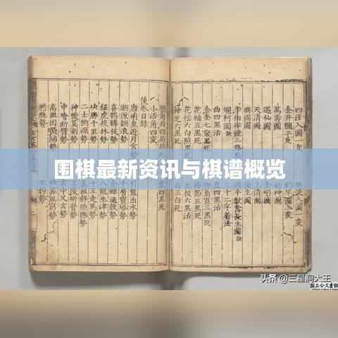围棋最新资讯与棋谱概览