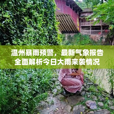 温州暴雨预警，最新气象报告全面解析今日大雨来袭情况