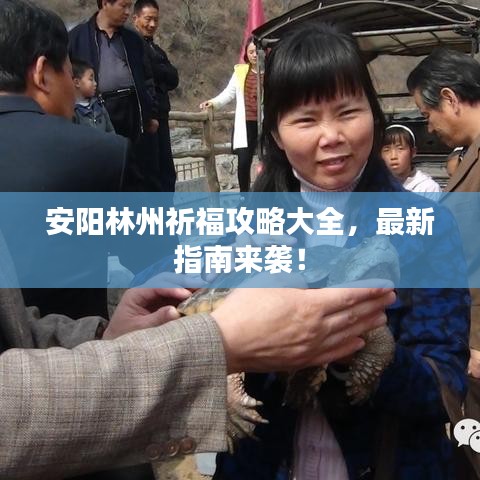 安阳林州祈福攻略大全，最新指南来袭！