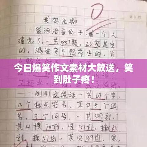 今日爆笑作文素材大放送，笑到肚子疼！