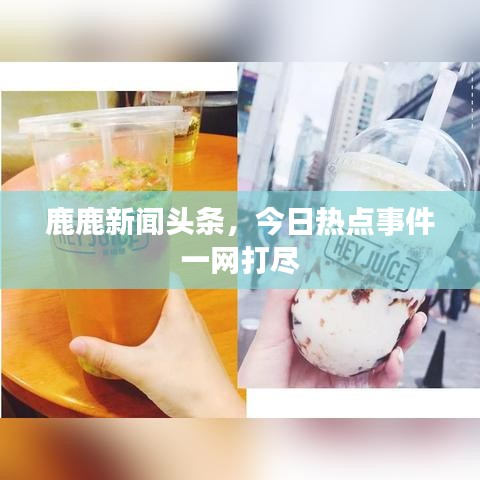 鹿鹿新闻头条，今日热点事件一网打尽
