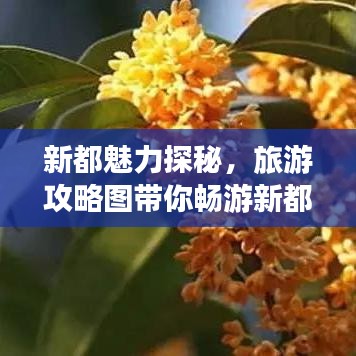 新都魅力探秘，旅游攻略图带你畅游新都胜地！