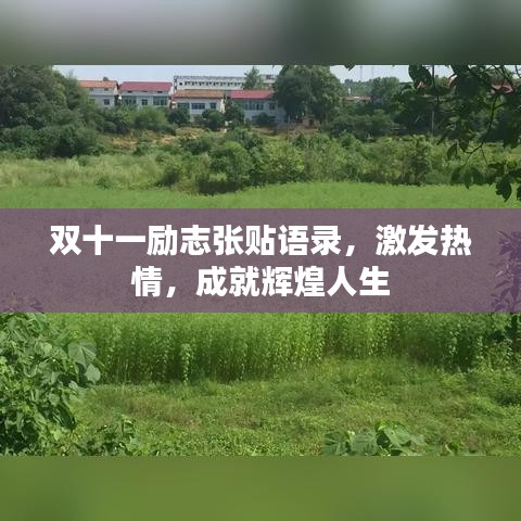 双十一励志张贴语录，激发热情，成就辉煌人生