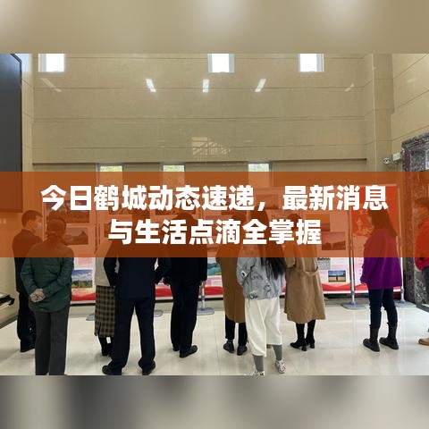 今日鹤城动态速递，最新消息与生活点滴全掌握