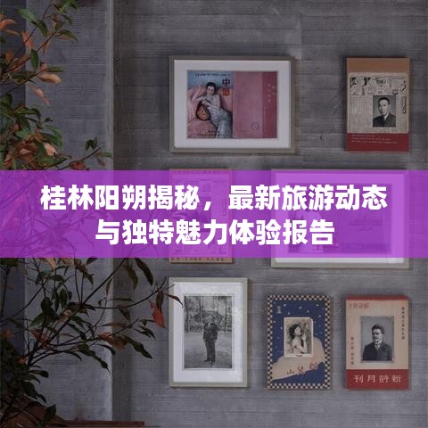 桂林阳朔揭秘，最新旅游动态与独特魅力体验报告