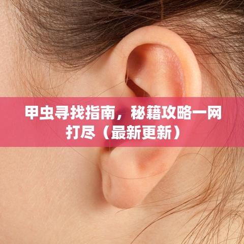 2025年5月27日 第22页