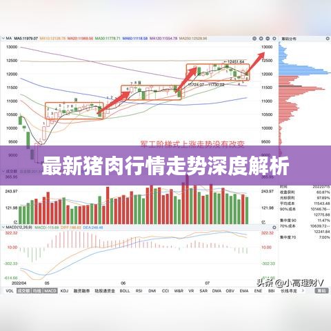 最新猪肉行情走势深度解析