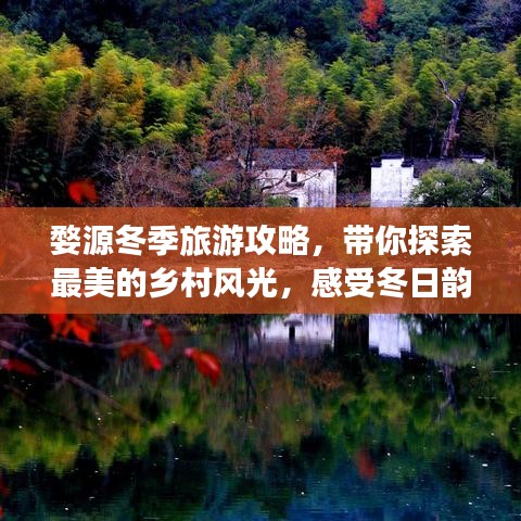 婺源冬季旅游攻略，带你探索最美的乡村风光，感受冬日韵味！