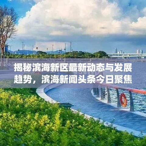 揭秘滨海新区最新动态与发展趋势，滨海新闻头条今日聚焦