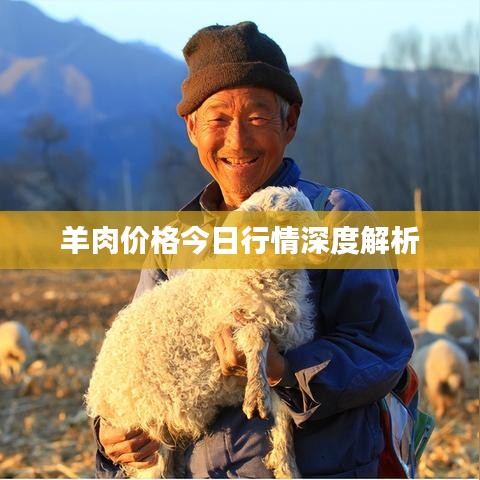 羊肉价格今日行情深度解析