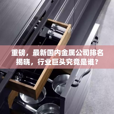 重磅，最新国内金属公司排名揭晓，行业巨头究竟是谁？