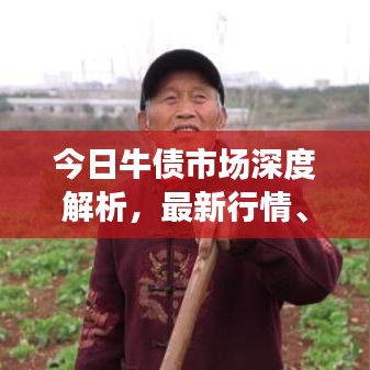 今日牛债市场深度解析，最新行情、市场走势与投资机会一网打尽