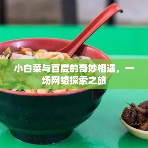 小白菜与百度的奇妙相遇，一场网络探索之旅