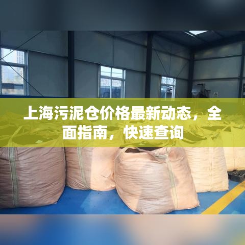 上海污泥仓价格最新动态，全面指南，快速查询