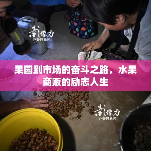 果园到市场的奋斗之路，水果商贩的励志人生