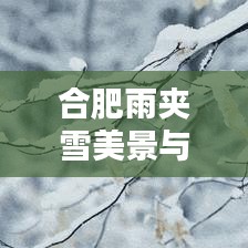 合肥雨夹雪美景与城市的挑战，最新消息全解析