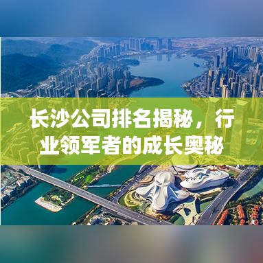 长沙公司排名揭秘，行业领军者的成长奥秘