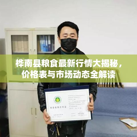 桦南县粮食最新行情大揭秘，价格表与市场动态全解读