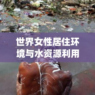 世界女性居住环境与水资源利用状况的观察与深度思考