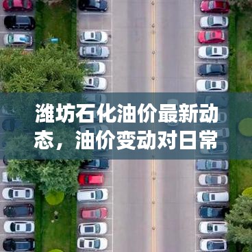 潍坊石化油价最新动态，油价变动对日常生活的影响分析