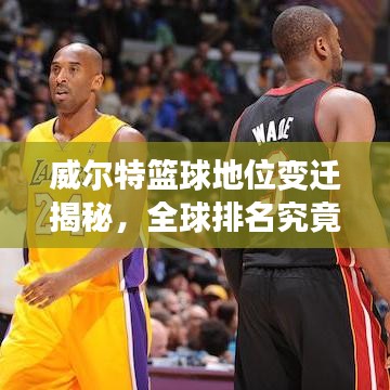 威尔特篮球地位变迁揭秘，全球排名究竟如何？