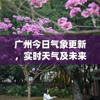 广州今日气象更新，实时天气及未来展望报告
