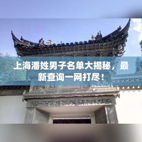 上海潘姓男子名单大揭秘，最新查询一网打尽！