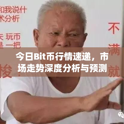 今日Bit币行情速递，市场走势深度分析与预测