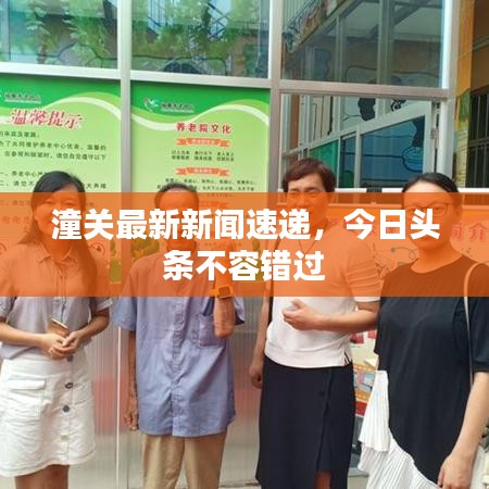 潼关最新新闻速递，今日头条不容错过
